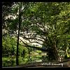 zoo negara 02